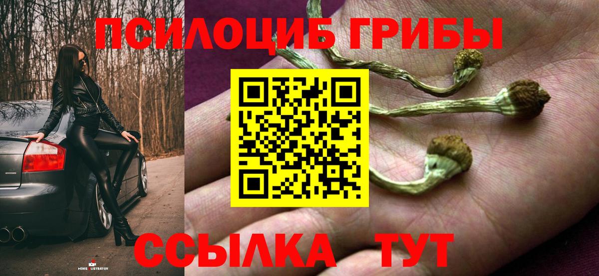 Гусь-Хрустальный  Псилоцибиновые грибы ЛСД  Вход с VPN 